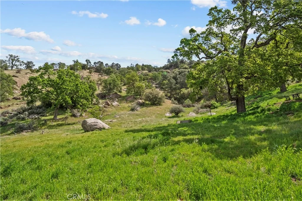 Photo of 29570 Butterfield