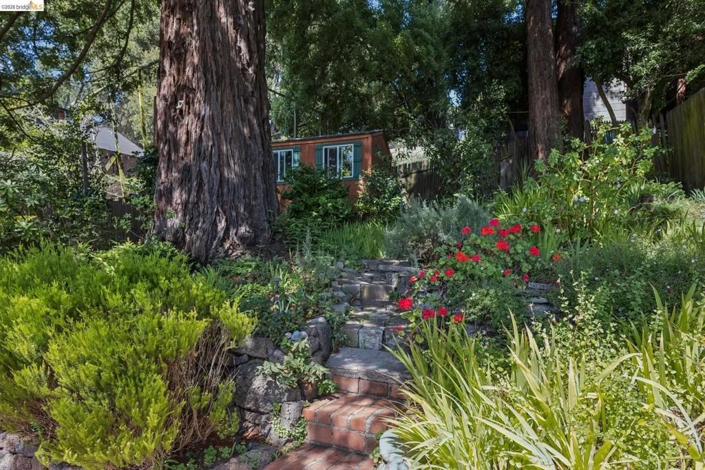 Photo of 8 Mosswood Rd