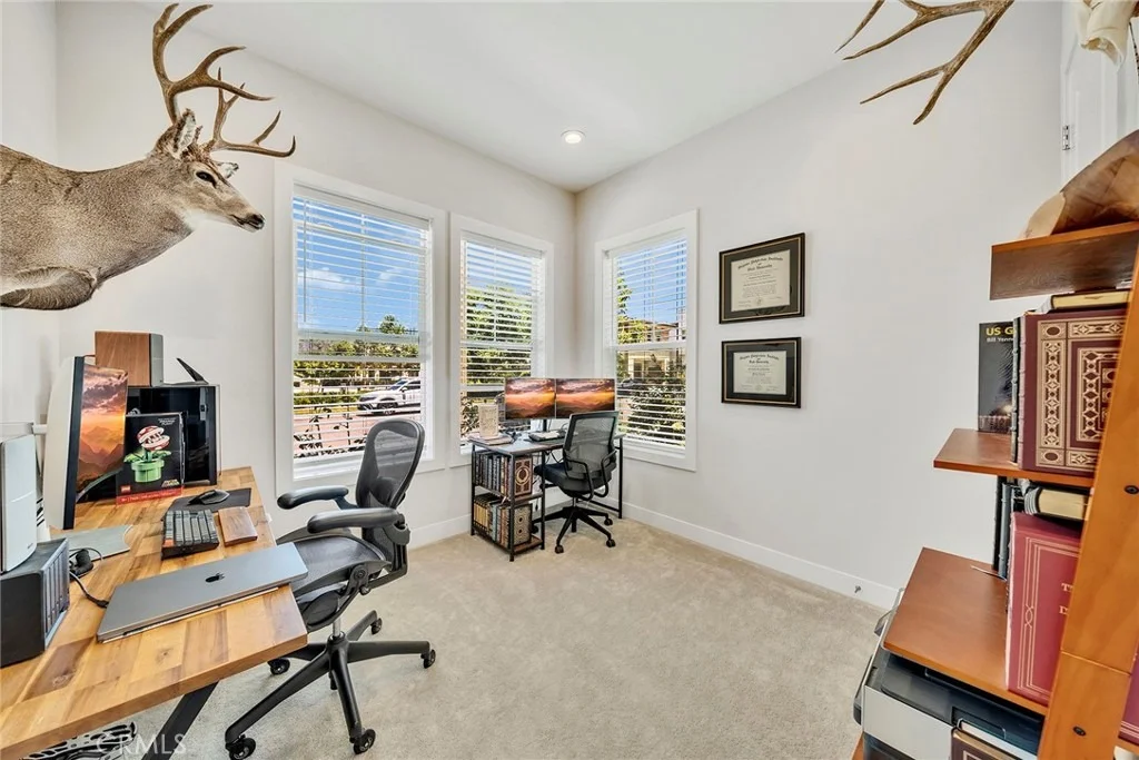Photo of 241 Burwood