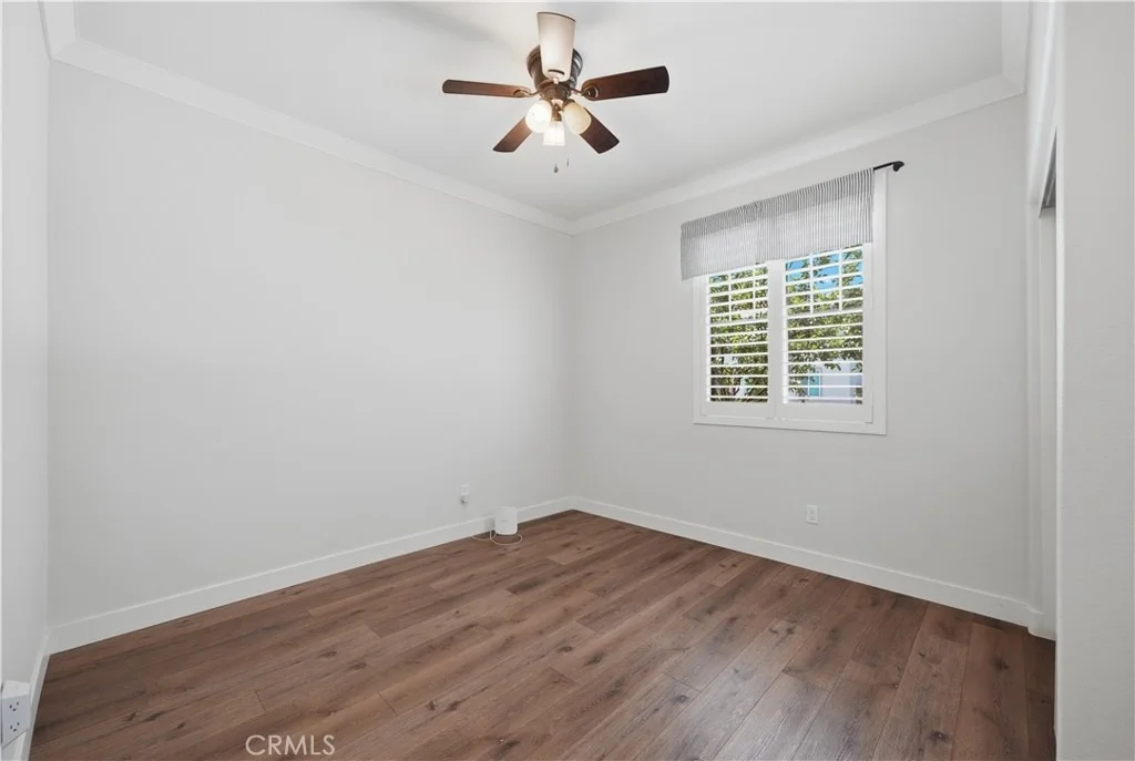 Photo of 29136 Tanoak