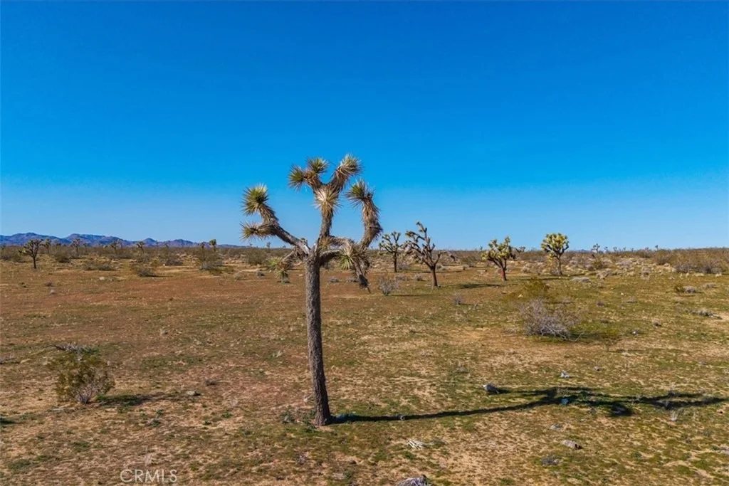 Photo of 58459 Starlight Mesa Road
