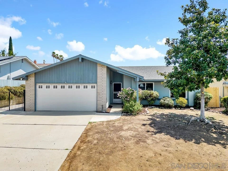Photo of 10313 Amada