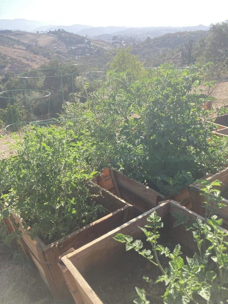 Photo of 5398 Camino Jasmine