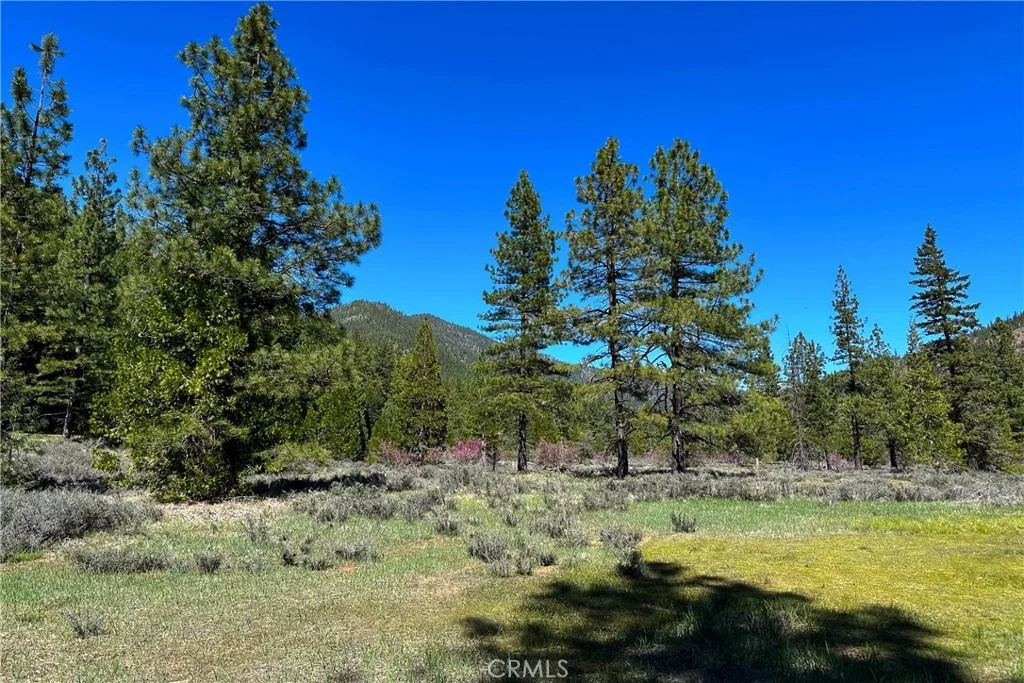 Photo of 79402 State Highway 3