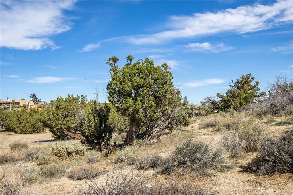 Photo of 9486 Carmelita Circle