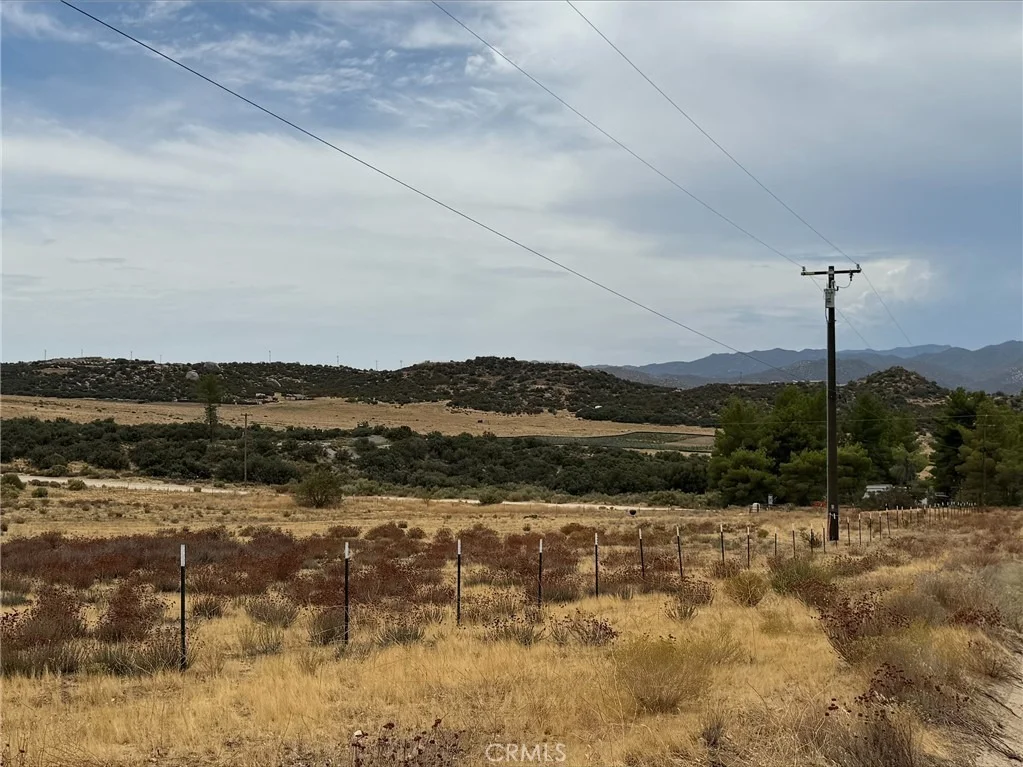 Photo of 42890 tamatea