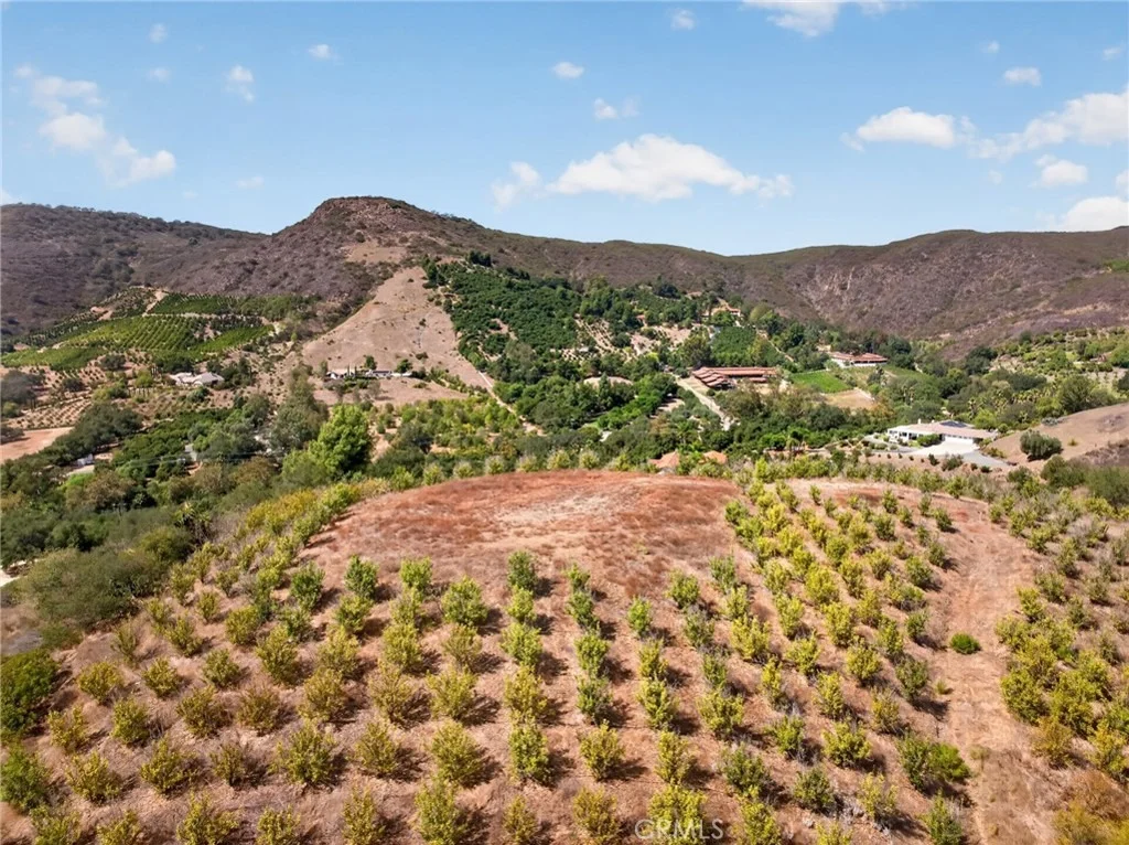 Photo of 16 Terreno