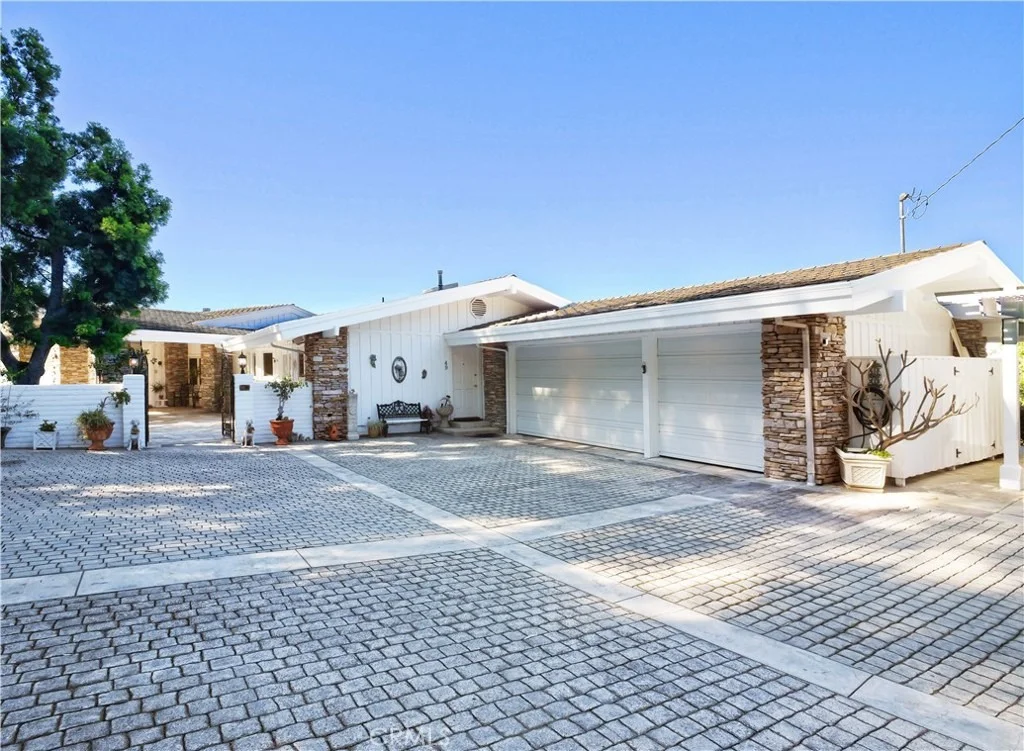 Photo of 49 Saddleback
