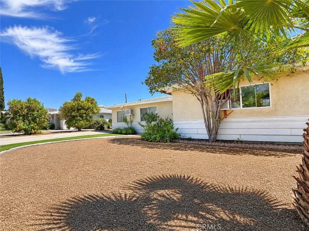 Photo of 24655 Eucalyptus