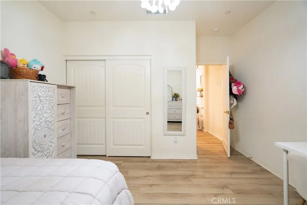 Photo of 1028 Coriander