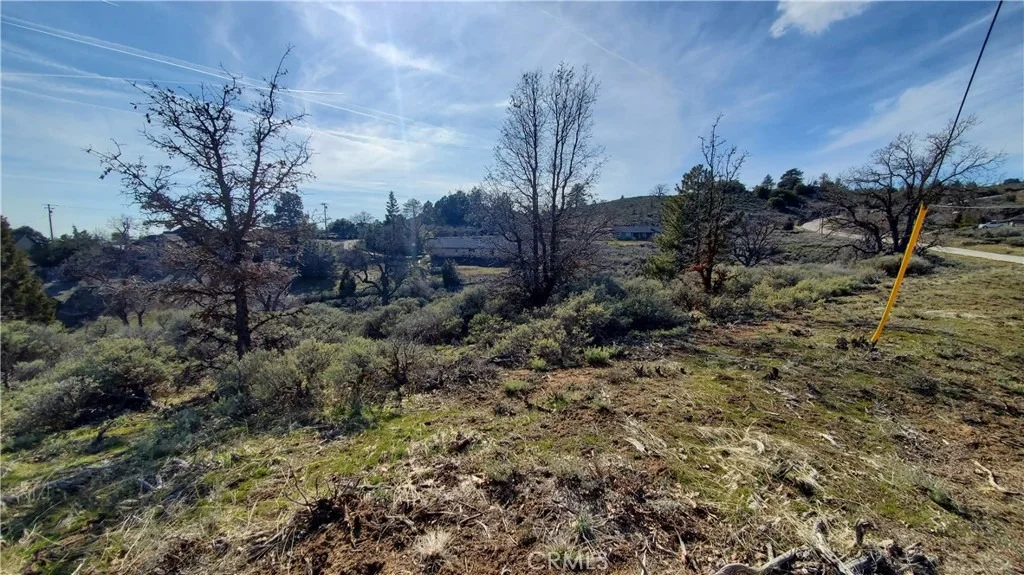 Photo of 25041 Jacaranda Drive