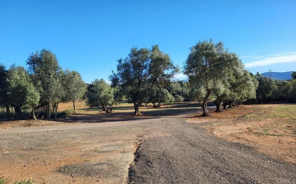 Photo of 616 Alpine Heights-20acres