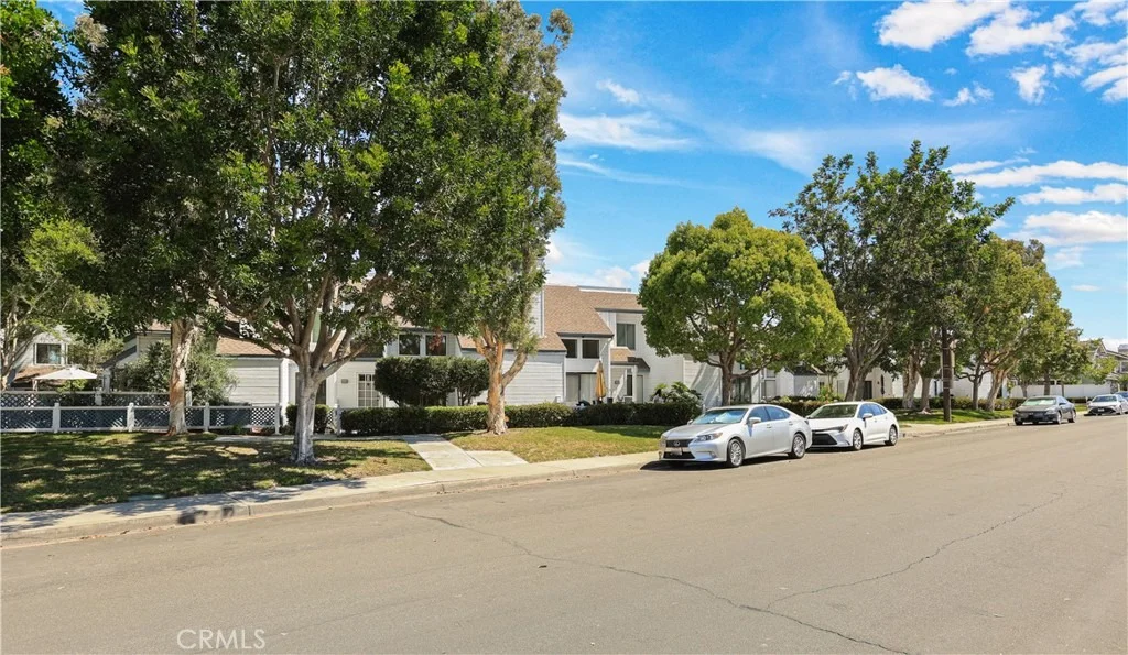 Photo of 446 Fallingstar