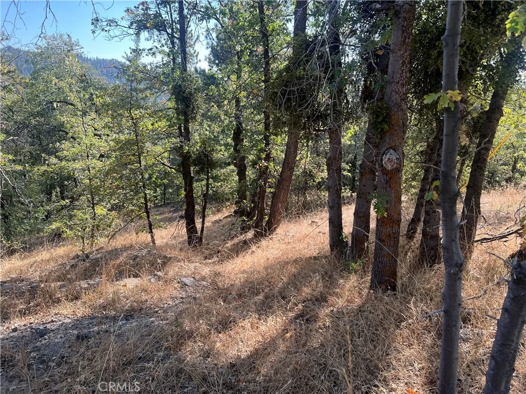 Photo of 0 Lone Pine Dr.