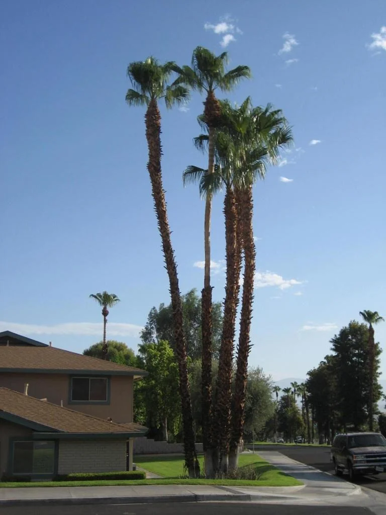 Photo of Unit 3 at 72694 Eagle Road