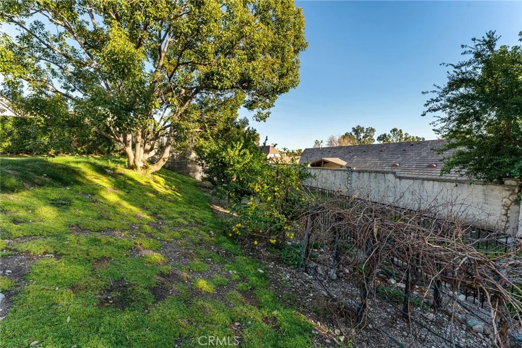 Photo of 10055 Hillside