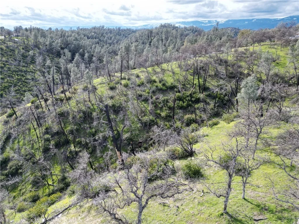 Photo of 7074 Sugar Pine Court