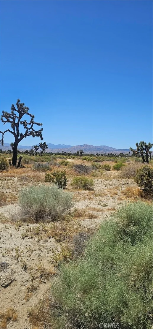 Photo of 0 E Palmdale Boulevard