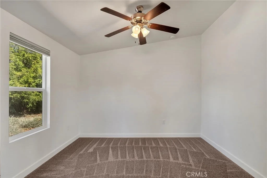 Photo of 6530 Daphne