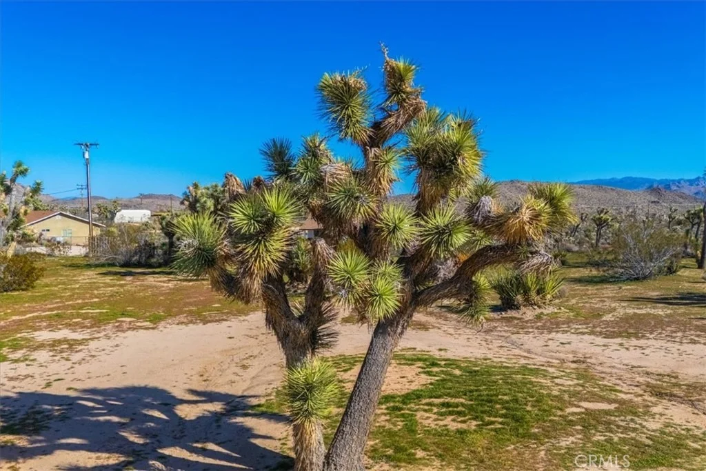 Photo of 5437 Paradise View Road
