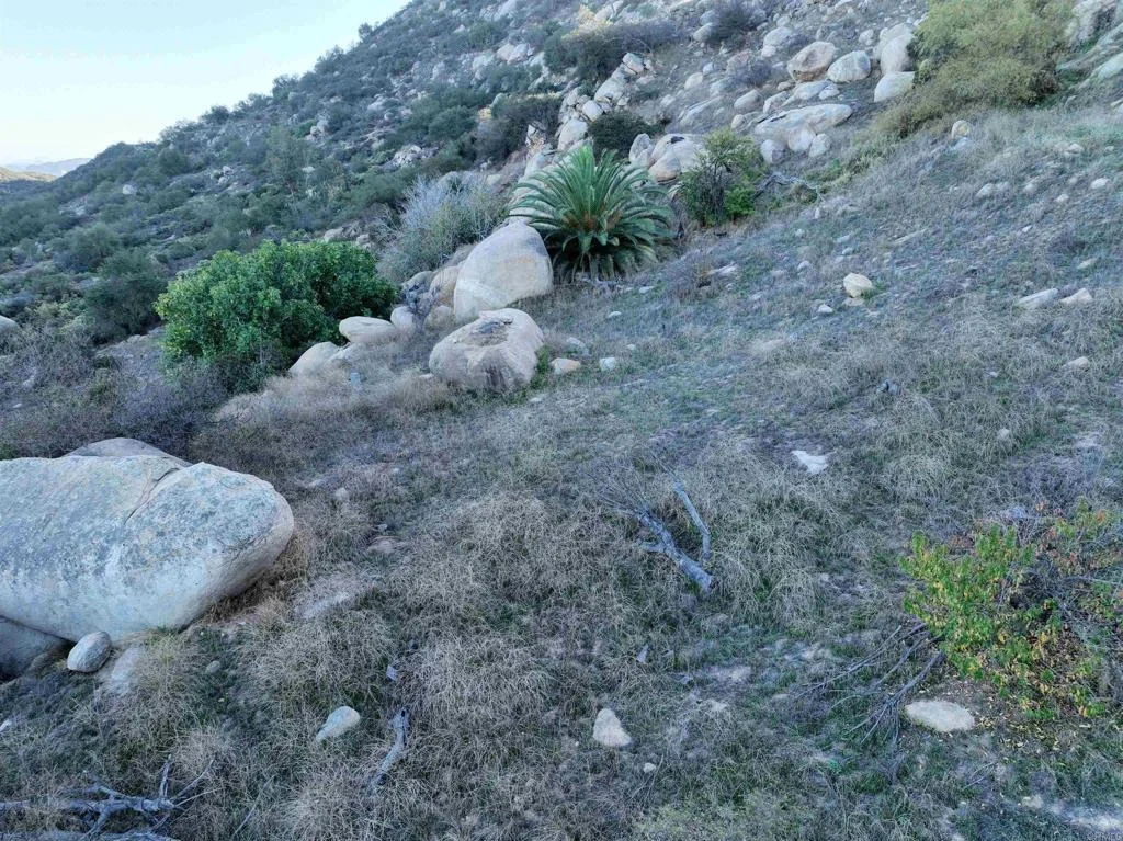 Photo of Rainbow Peaks Trail