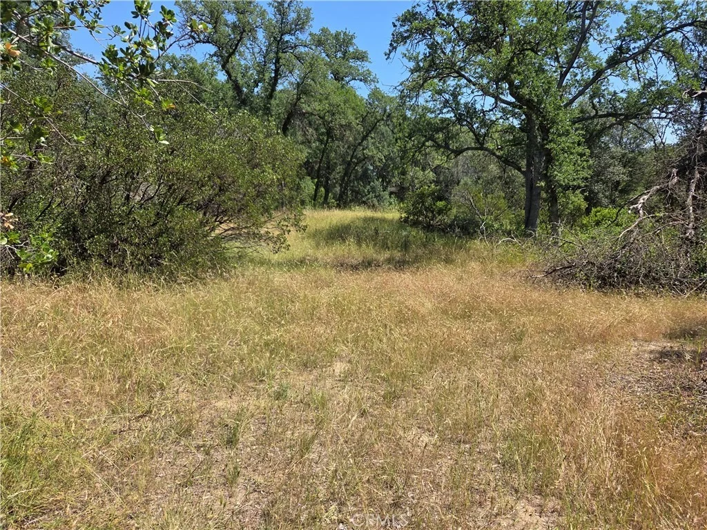 Photo of 17087 LARAMIE