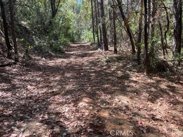 Photo of 12 Broken Springs