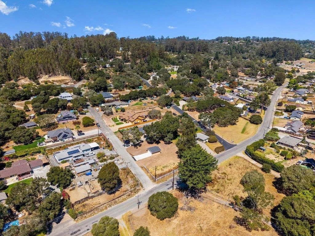 Photo of 76857695 Pine Tree