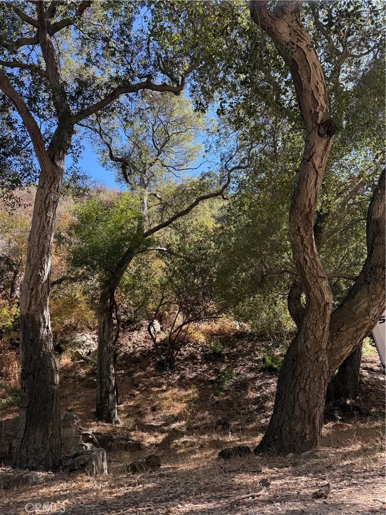 Photo of 28552 Silverado Road