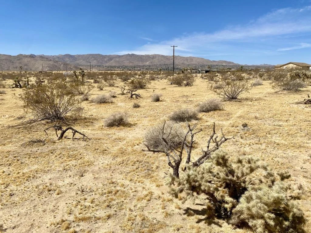 Photo of 62585 Two Mile Road