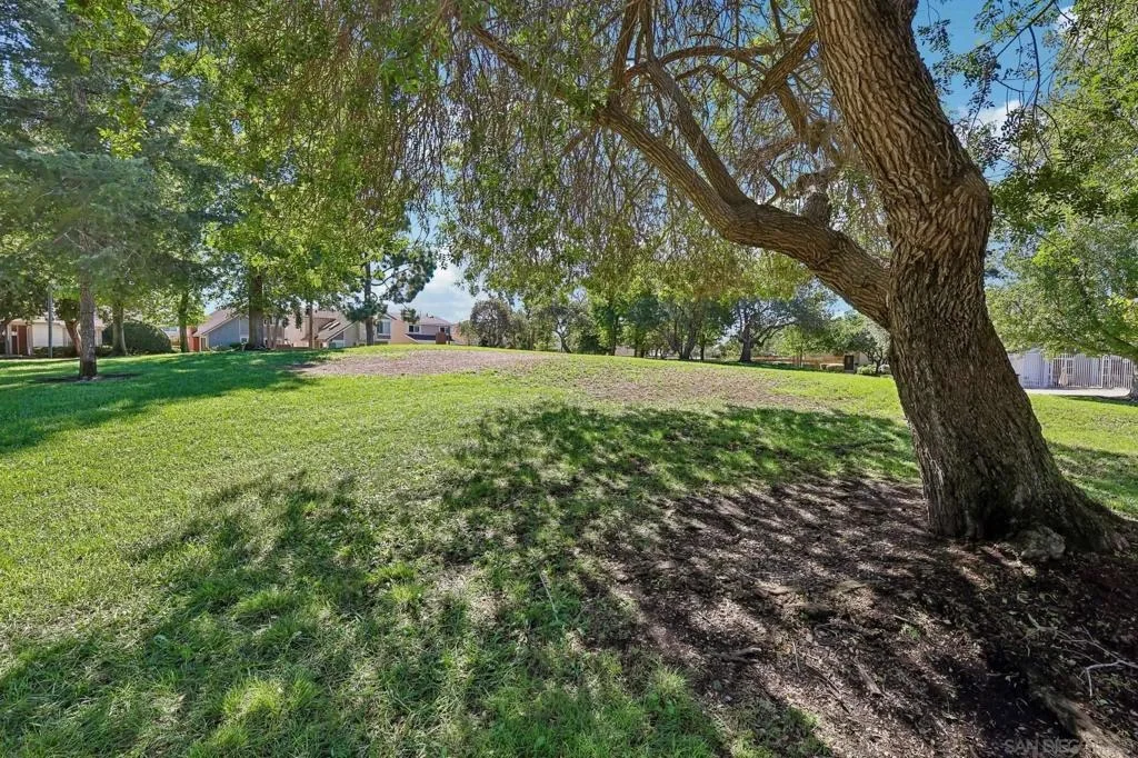Photo of 10664 Escobar