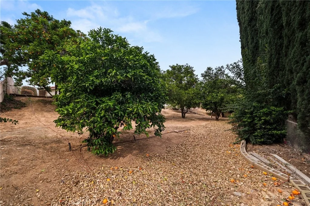 Photo of 30587 Los Altos