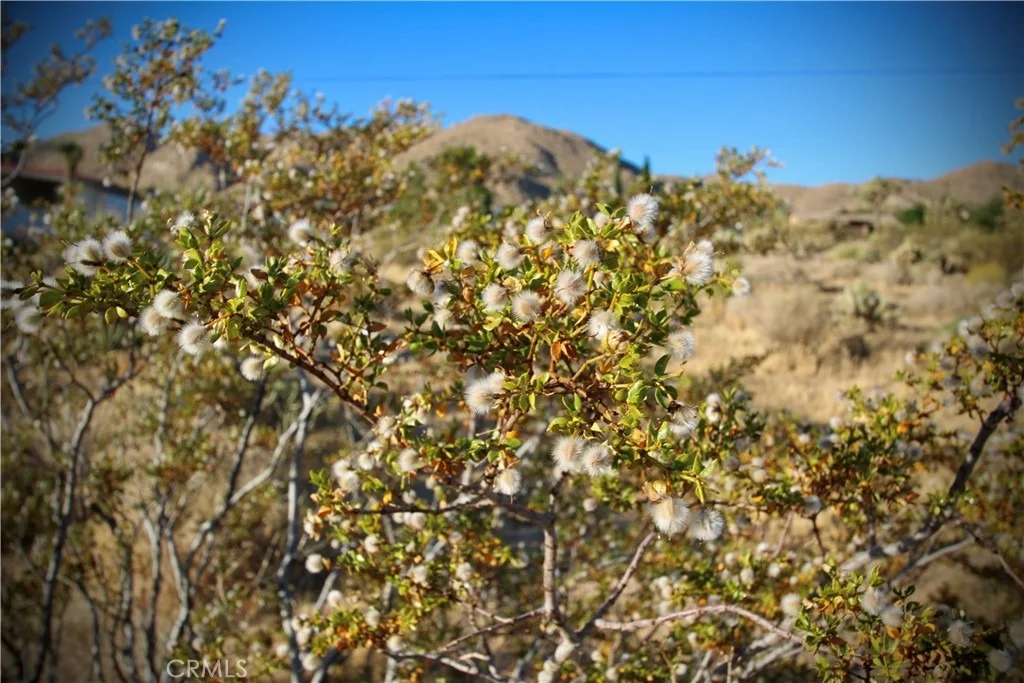 Photo of 60255 Natoma Trail