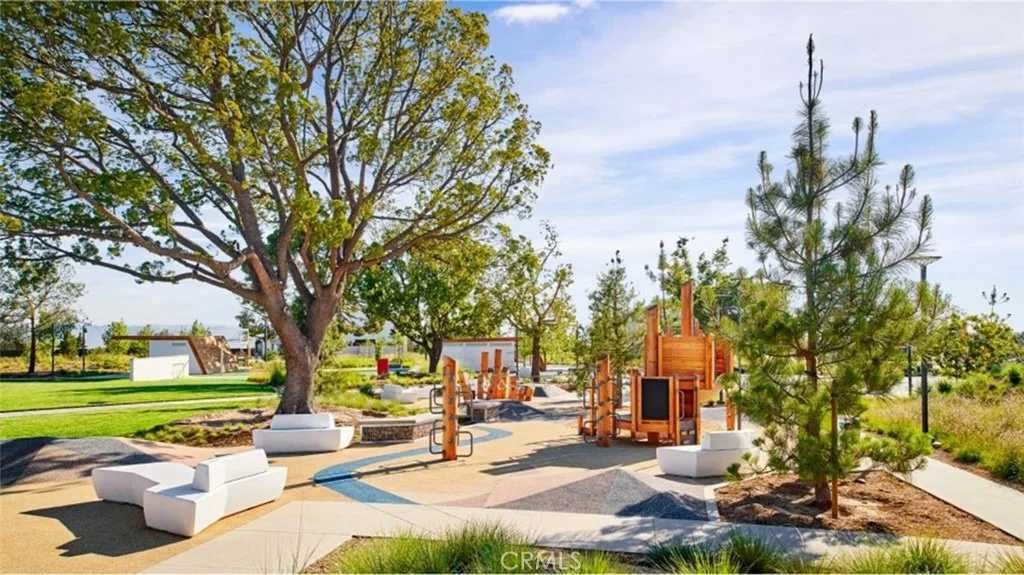Photo of 804 Sonia