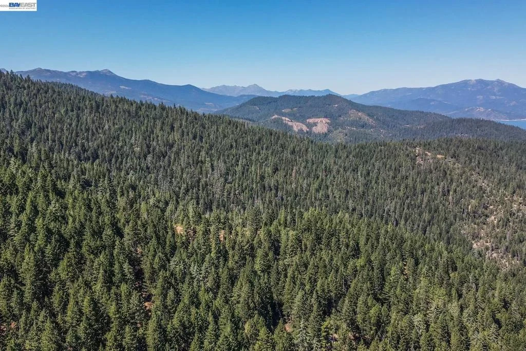 Photo of 190 Moore Gulch