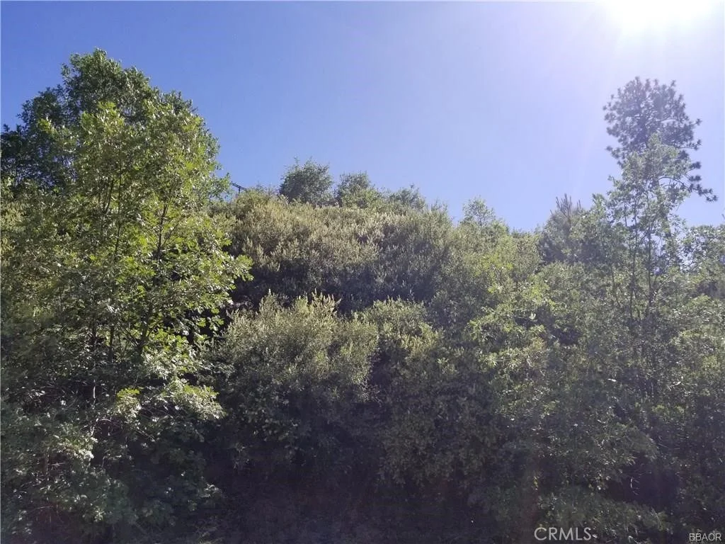 Photo of 0 Elder Drive