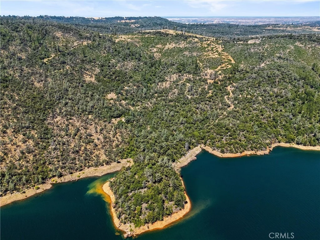 Photo of 0 Condor
