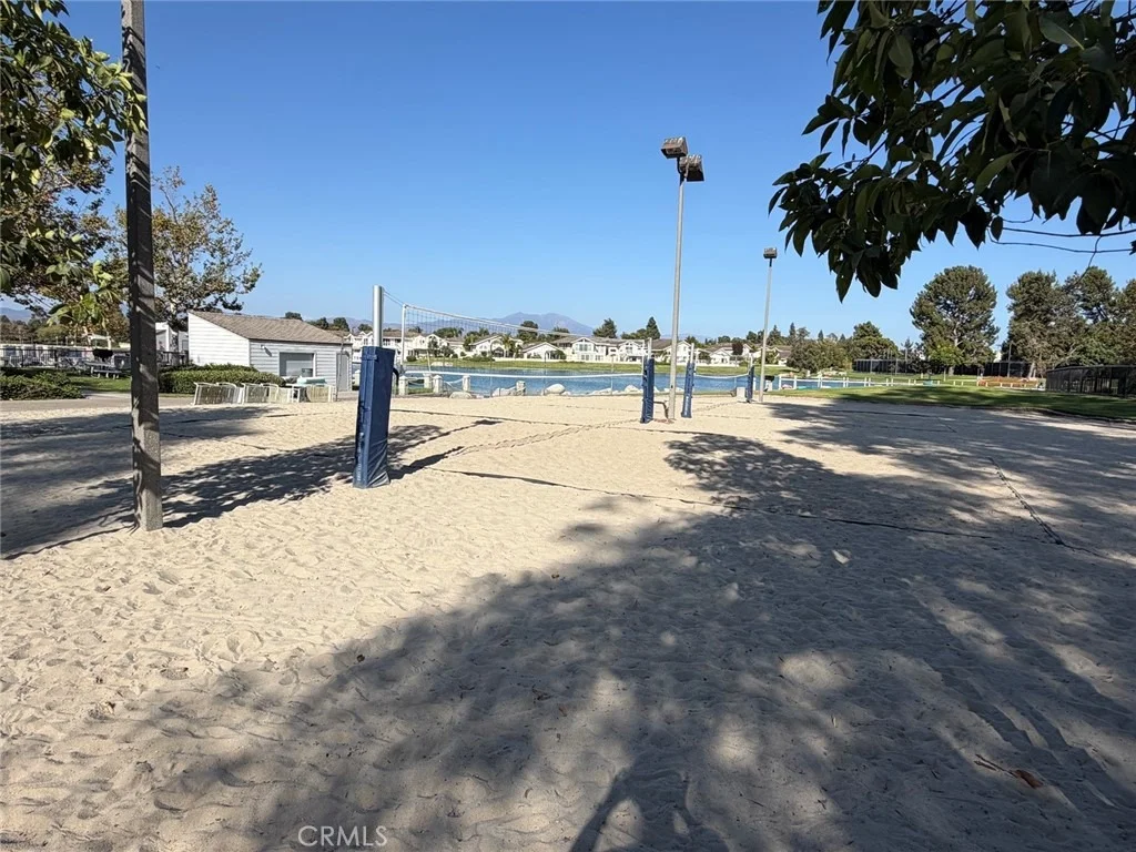 Photo of 32 Spinnaker