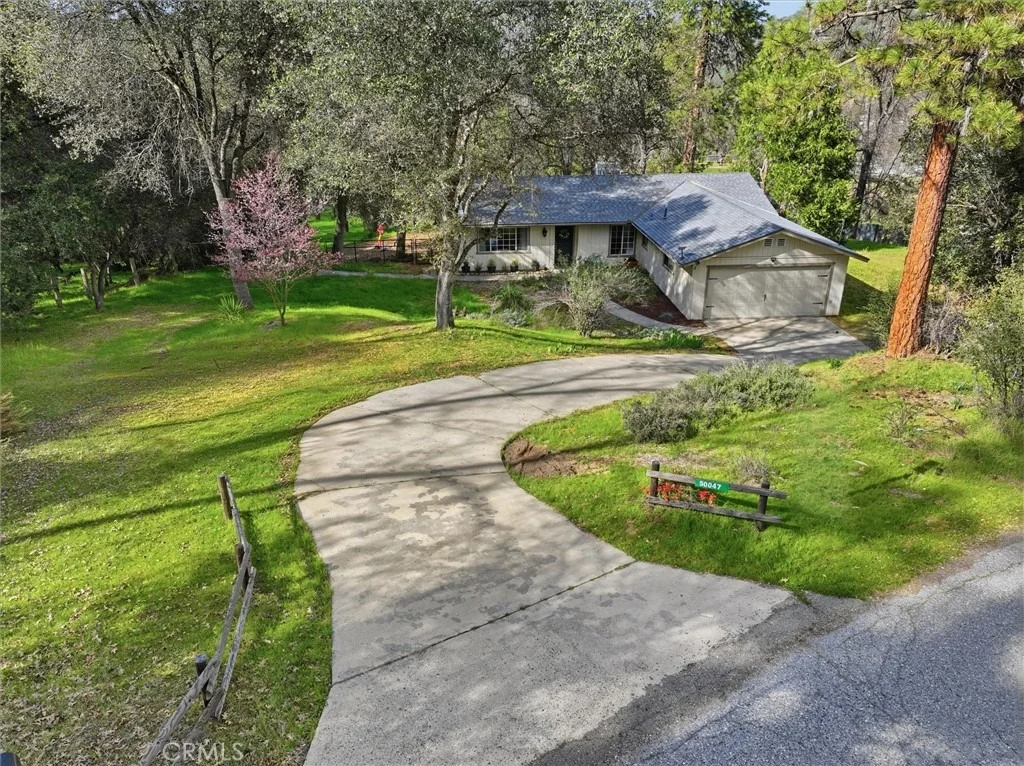 Photo of 50047 Hangtree