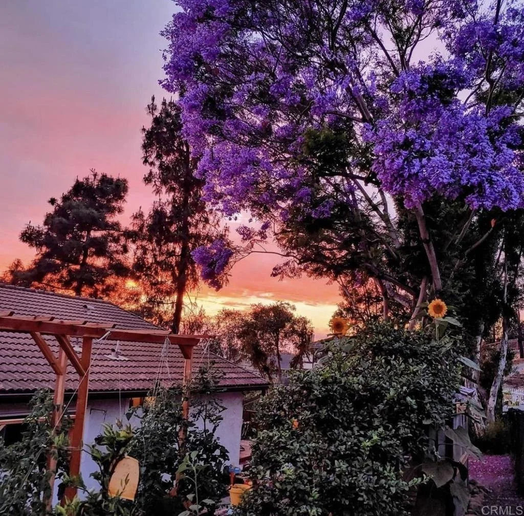 Photo of 320 Apollo Drive