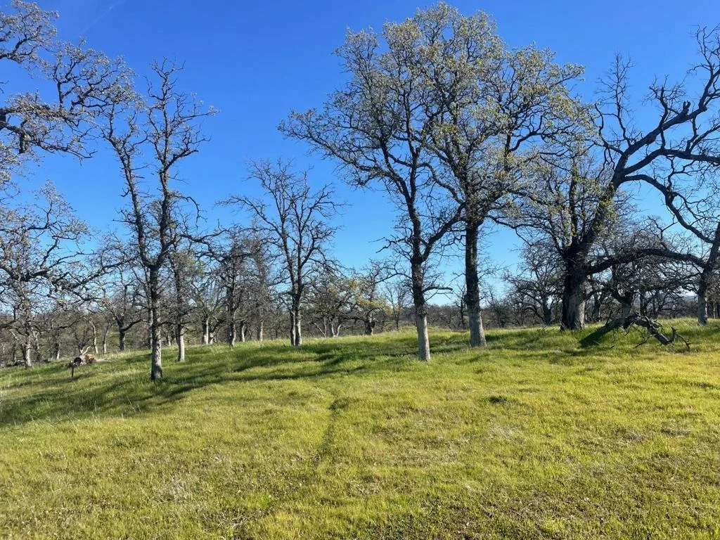 Photo of 108 Lot 8 of Tract No.91-1002 Lane