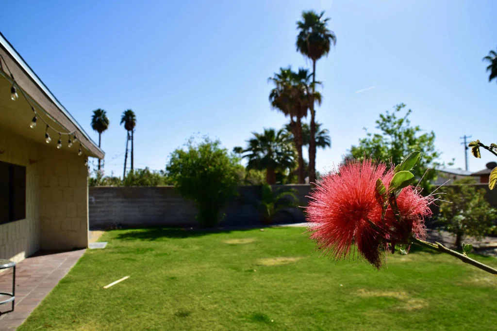 Photo of 68835 Ortega Road