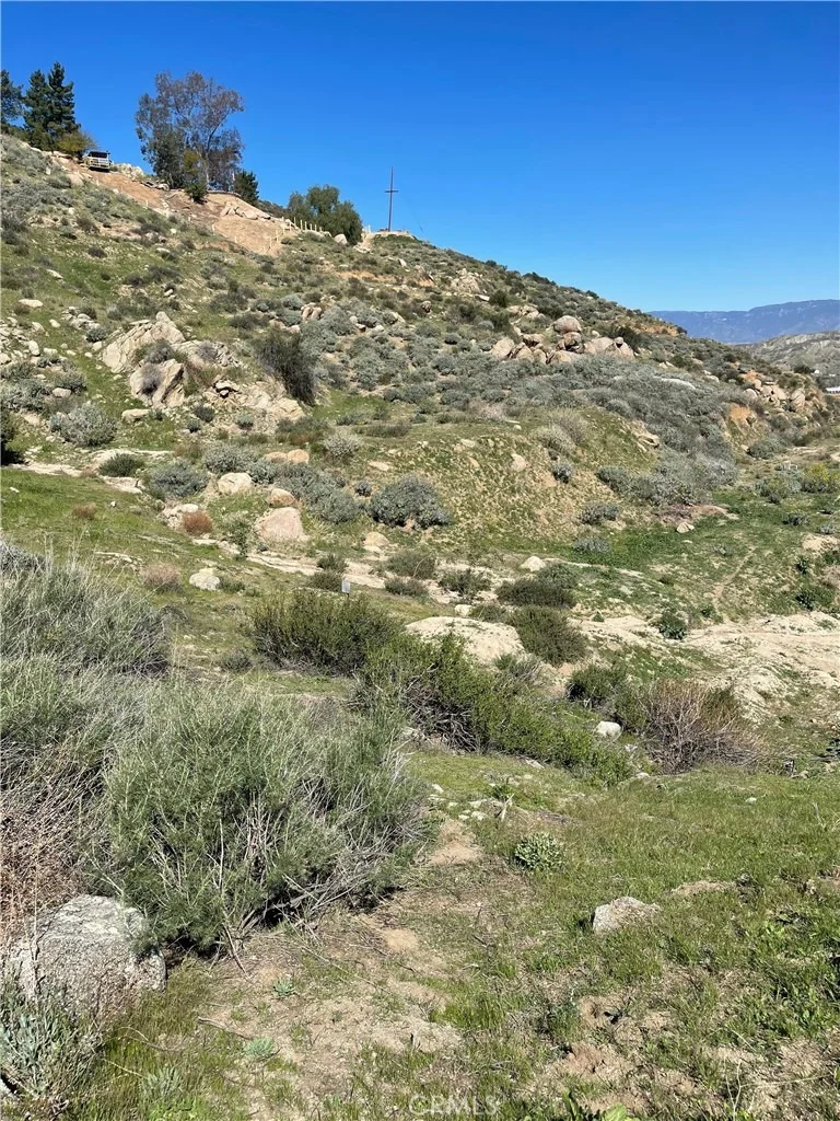 Photo of 53 Spring Road