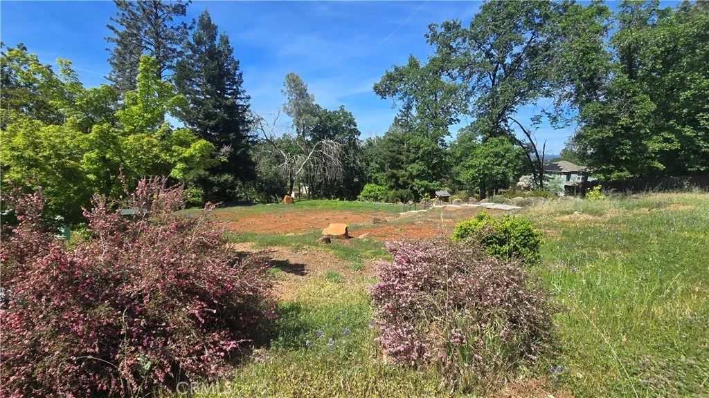 Photo of 231 Pinewood Drive