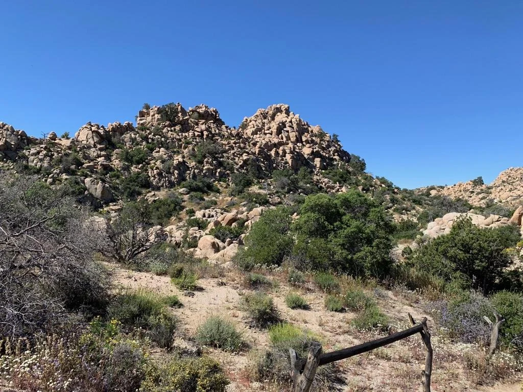 Photo of 5850 Cactus Canyon Trail