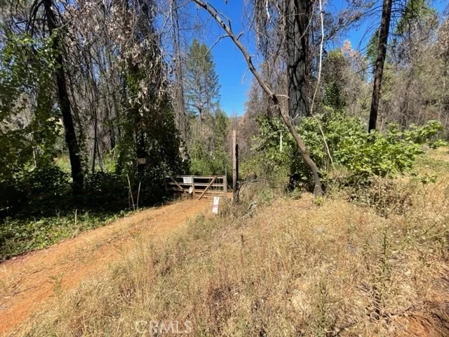 Photo of 27 Broken Springs