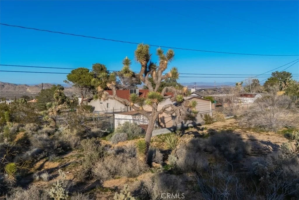 Photo of 60432 Latham Trail