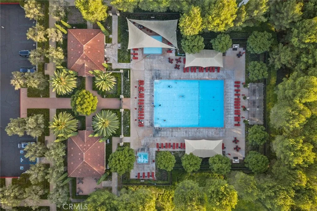Photo of 29 Lupari