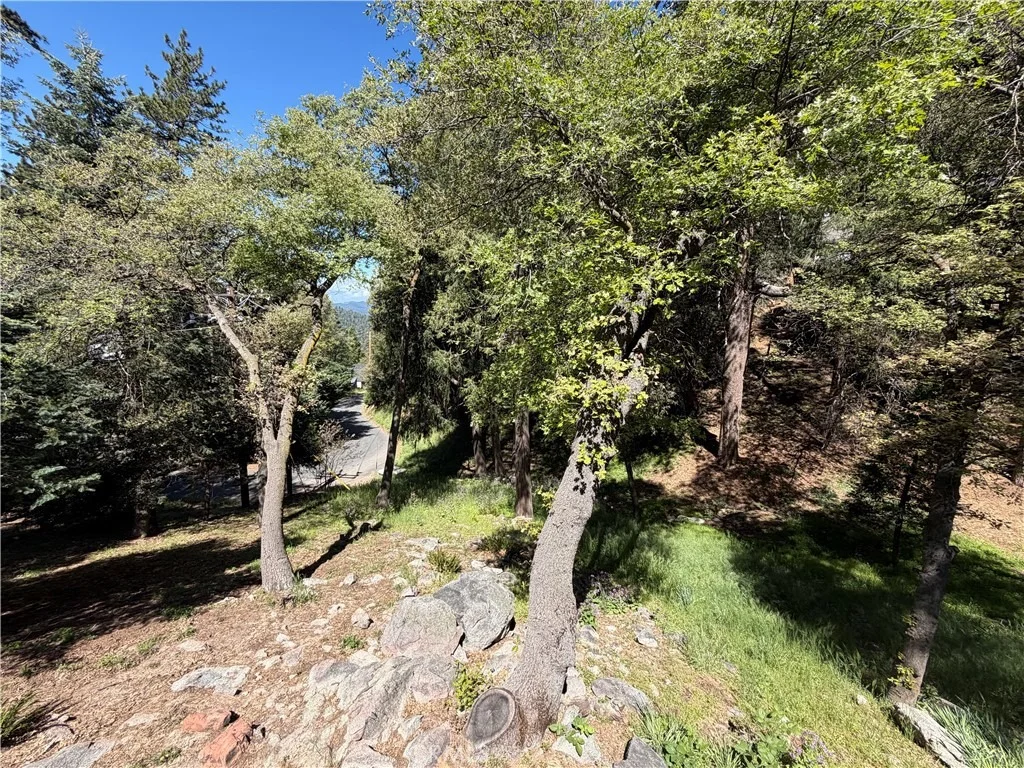 Photo of 1076 Calanda