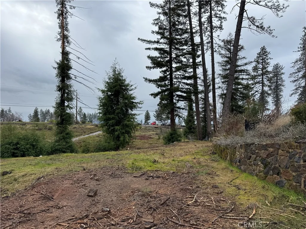 Photo of 1037 Thomasson Lane